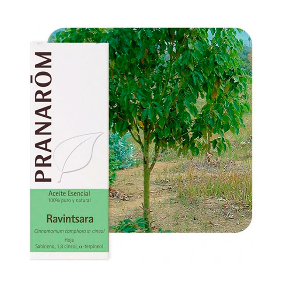 ACEITE ESENCIAL RAVINTSARA  1 ENVASE 10 ML
