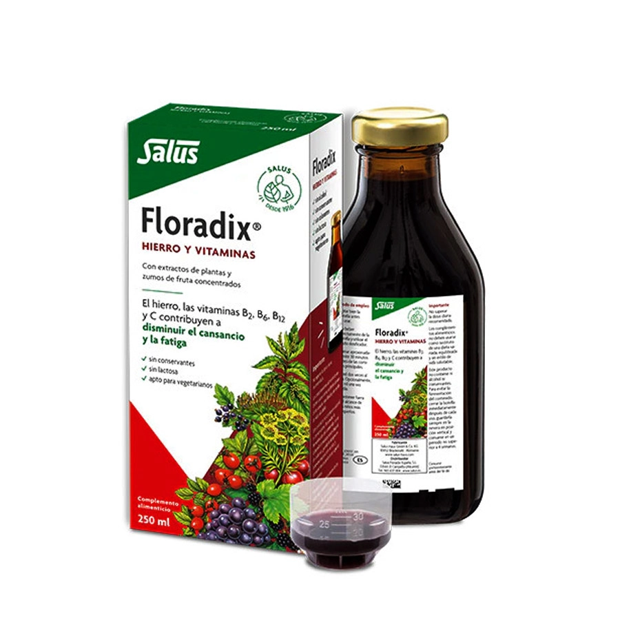 FLORADIX ELIXIR  1 FRASCO 250 ML