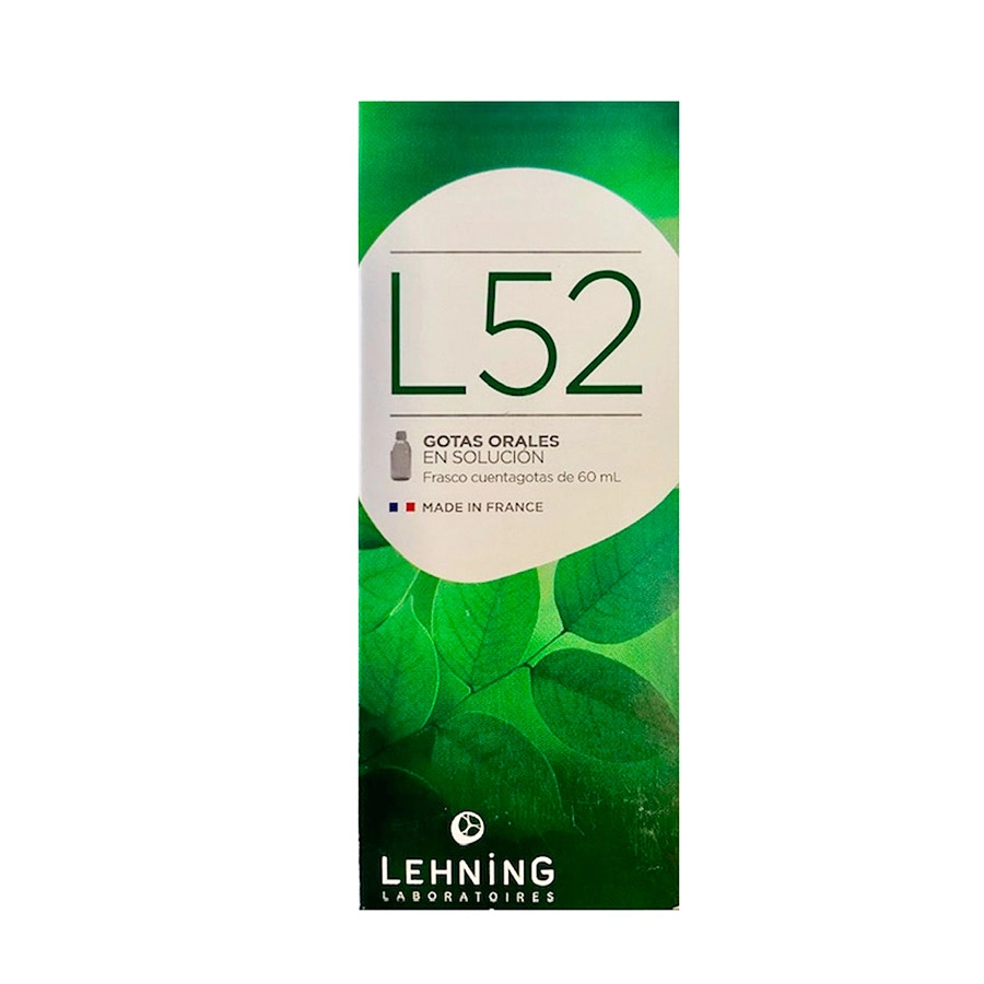 L52 ETAPAS GRIPALES LEHNING  60 ML